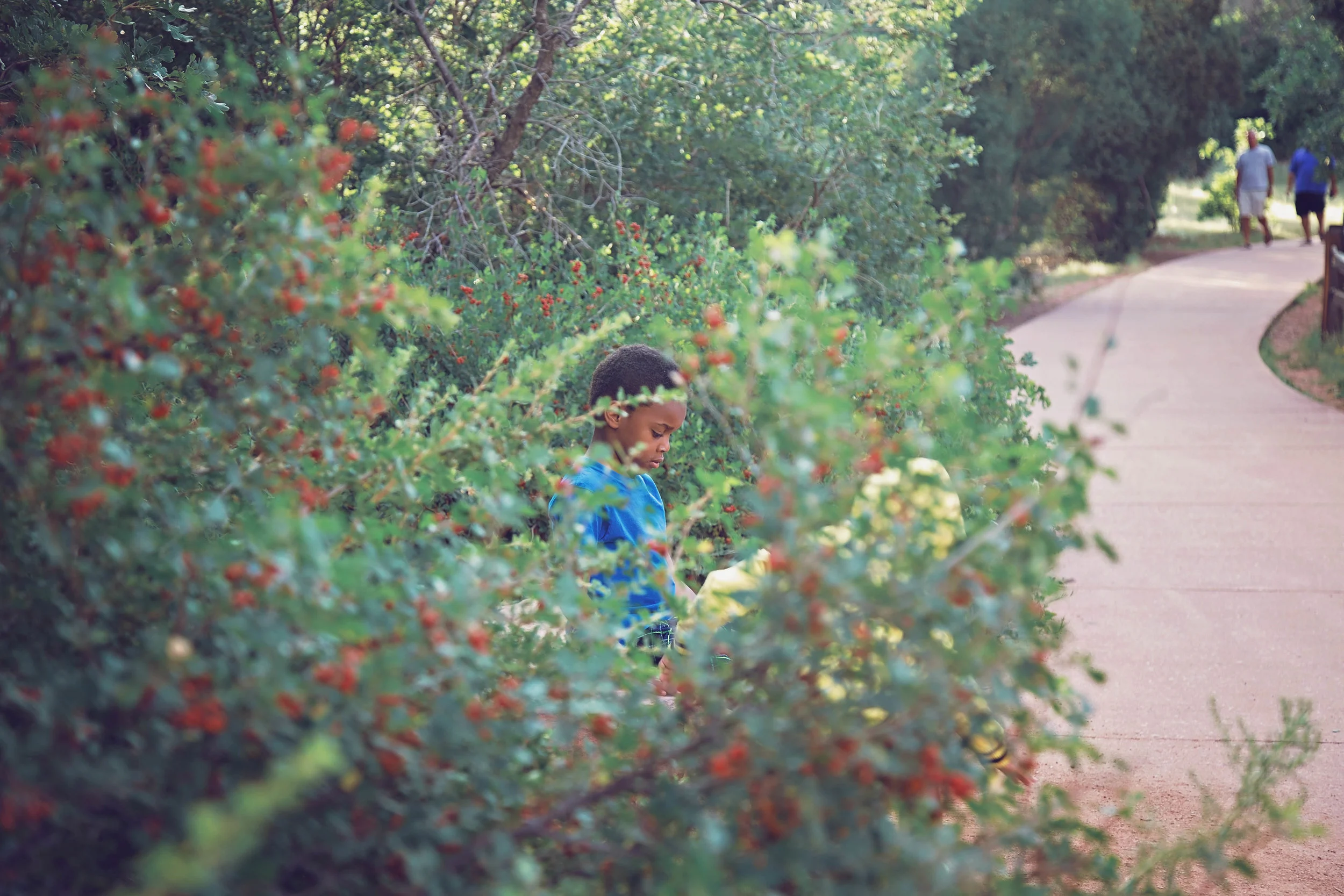 Minnestoa Photographer | Colorado | Our Life Project | ID Photography