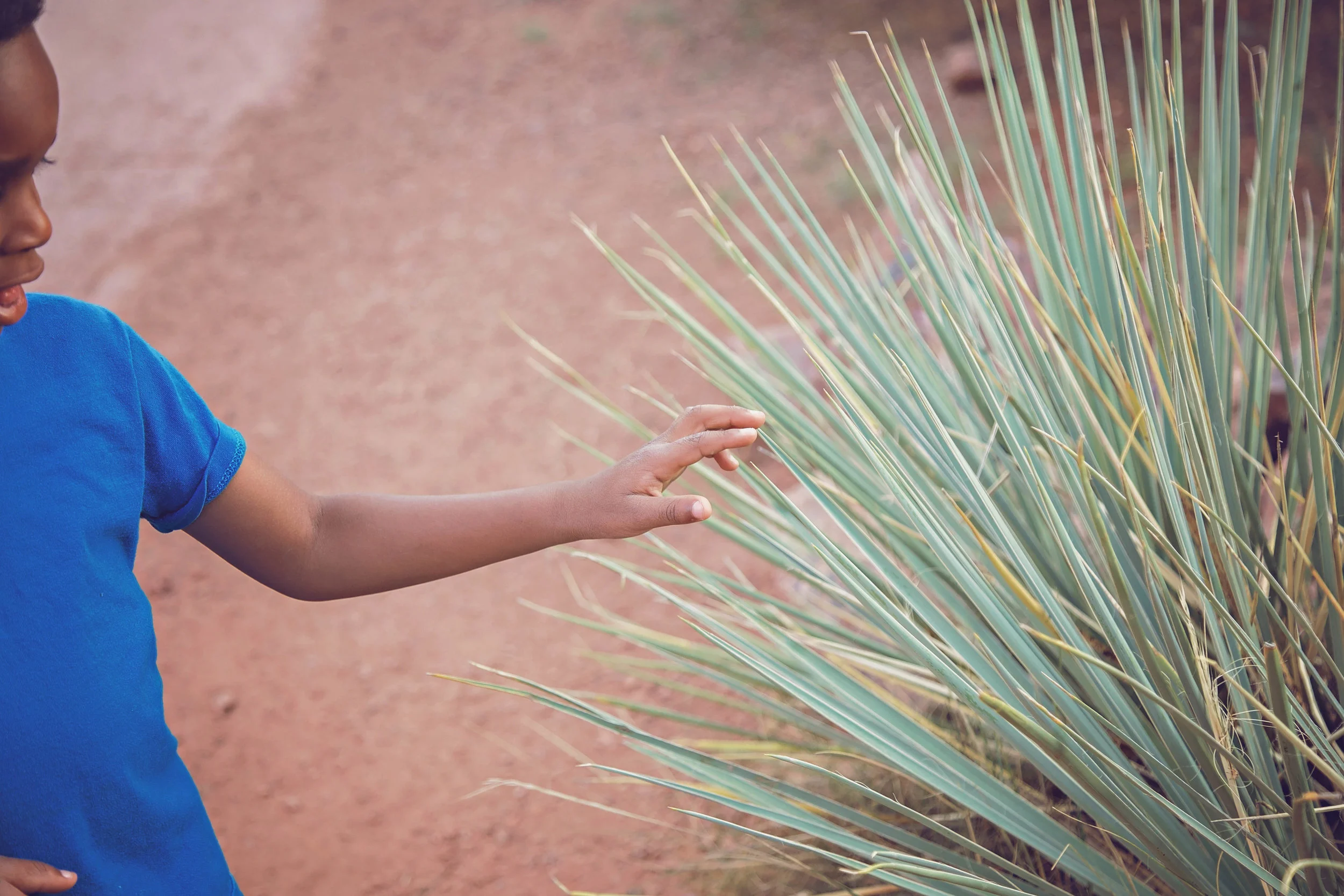 Minnestoa Photographer | Colorado | Our Life Project | ID Photography