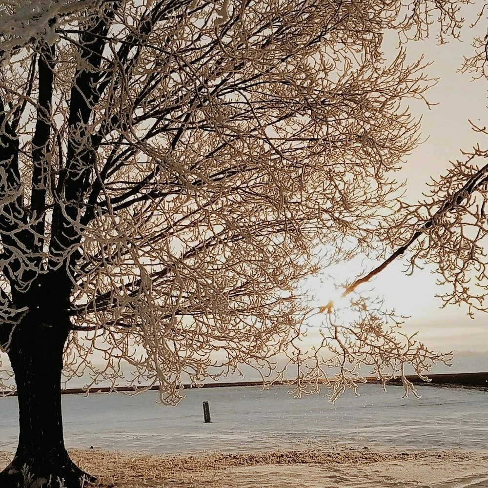 Kindness &amp; Clemency | Musings of A Black Female Adoptee