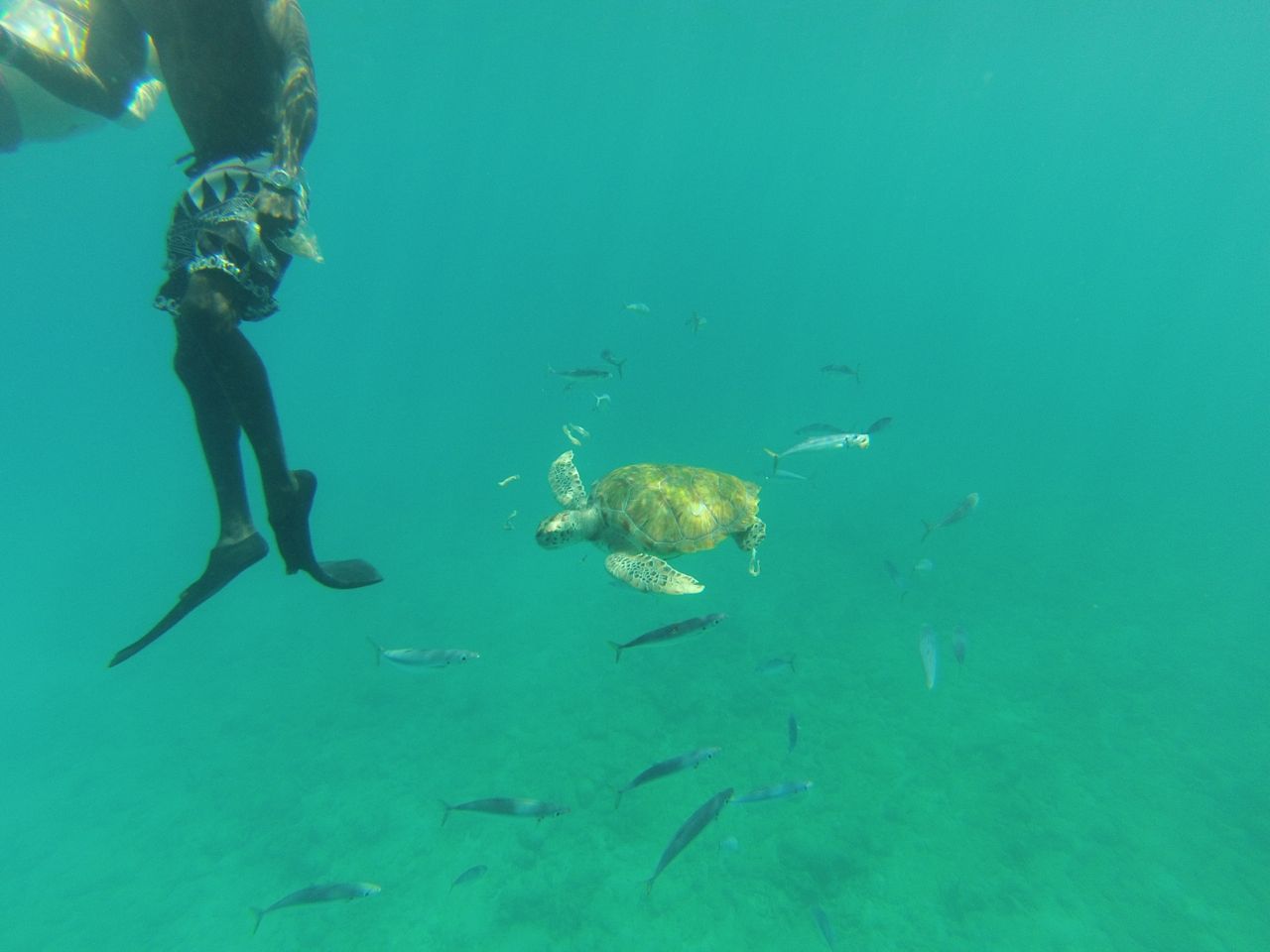 gopr0033.jpg