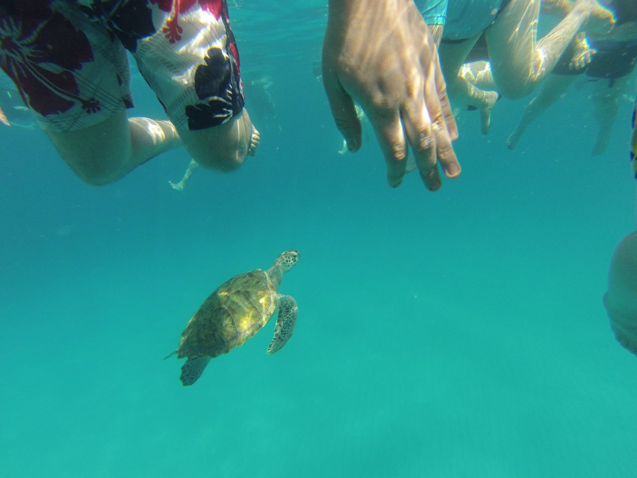 gopr0019.jpg