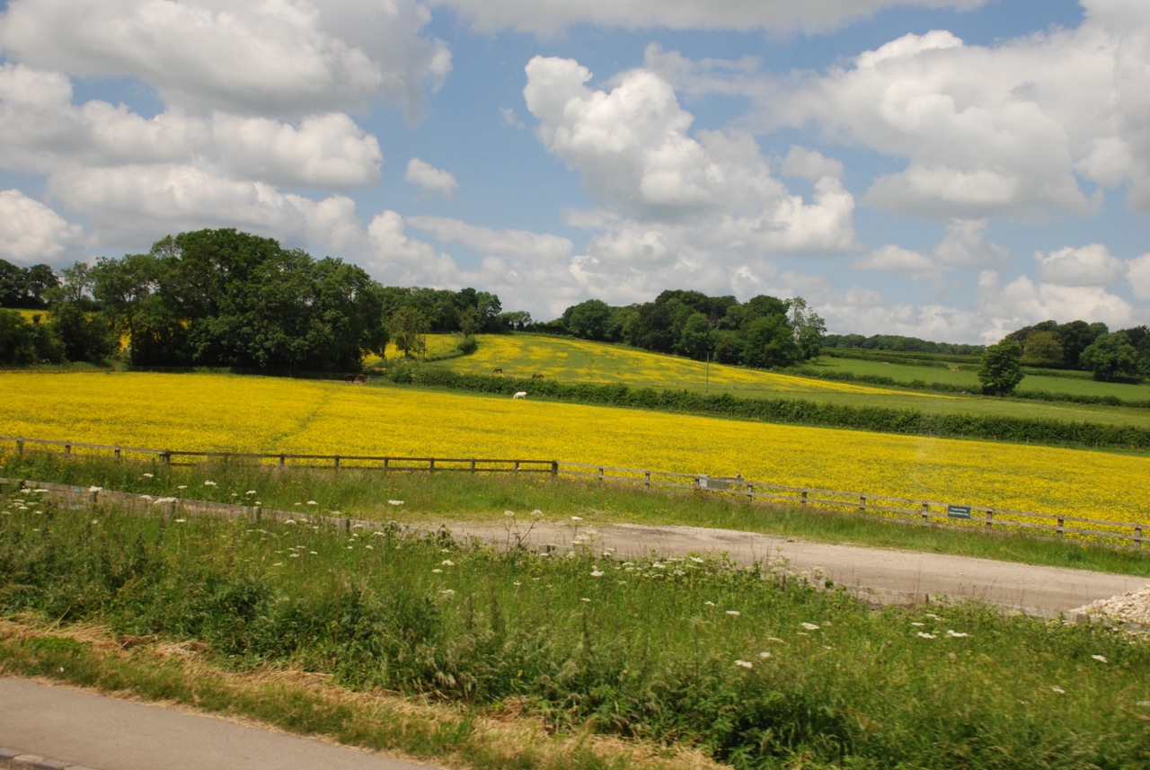DSC_6204.jpg
