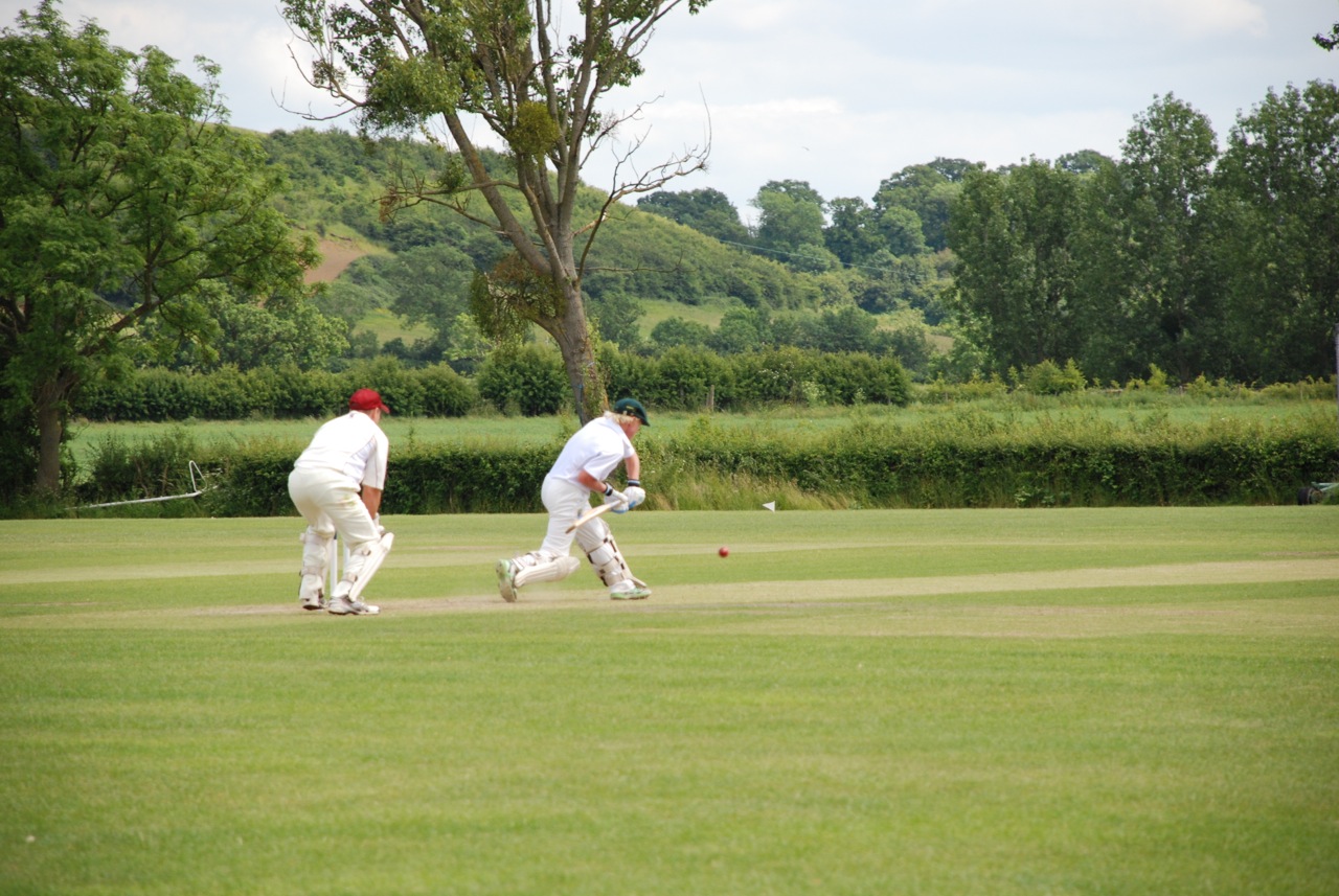 DSC_6247.jpg