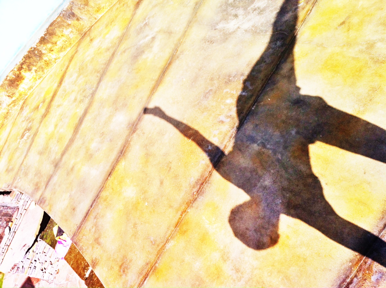photo(9)
