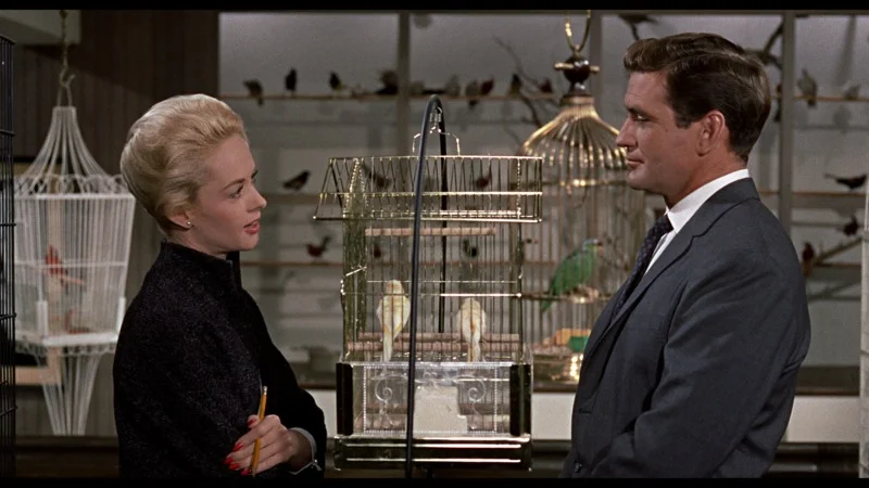 the birds 001.jpg