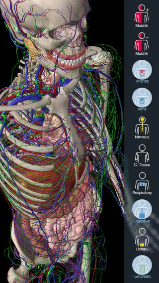 Essential Anatomy.jpg
