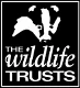 Wildlife Trust.jpg