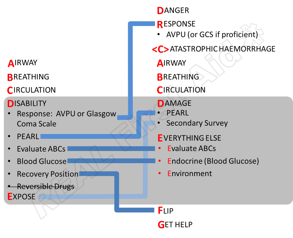 Accident Procedure Real First Aid