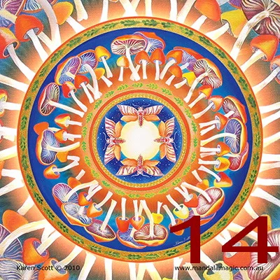 MandalaMagic_Magnet_144.jpg