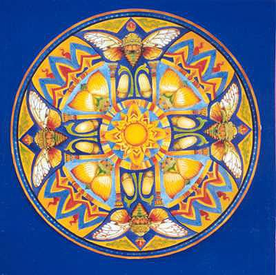 cicadas mandala magic