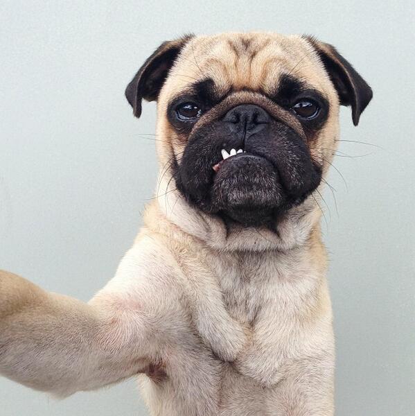 GET YA SELFIE FACE ON! 