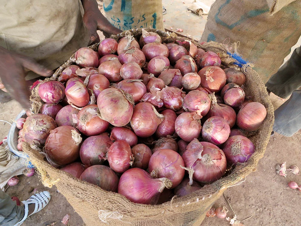 onions tamneere