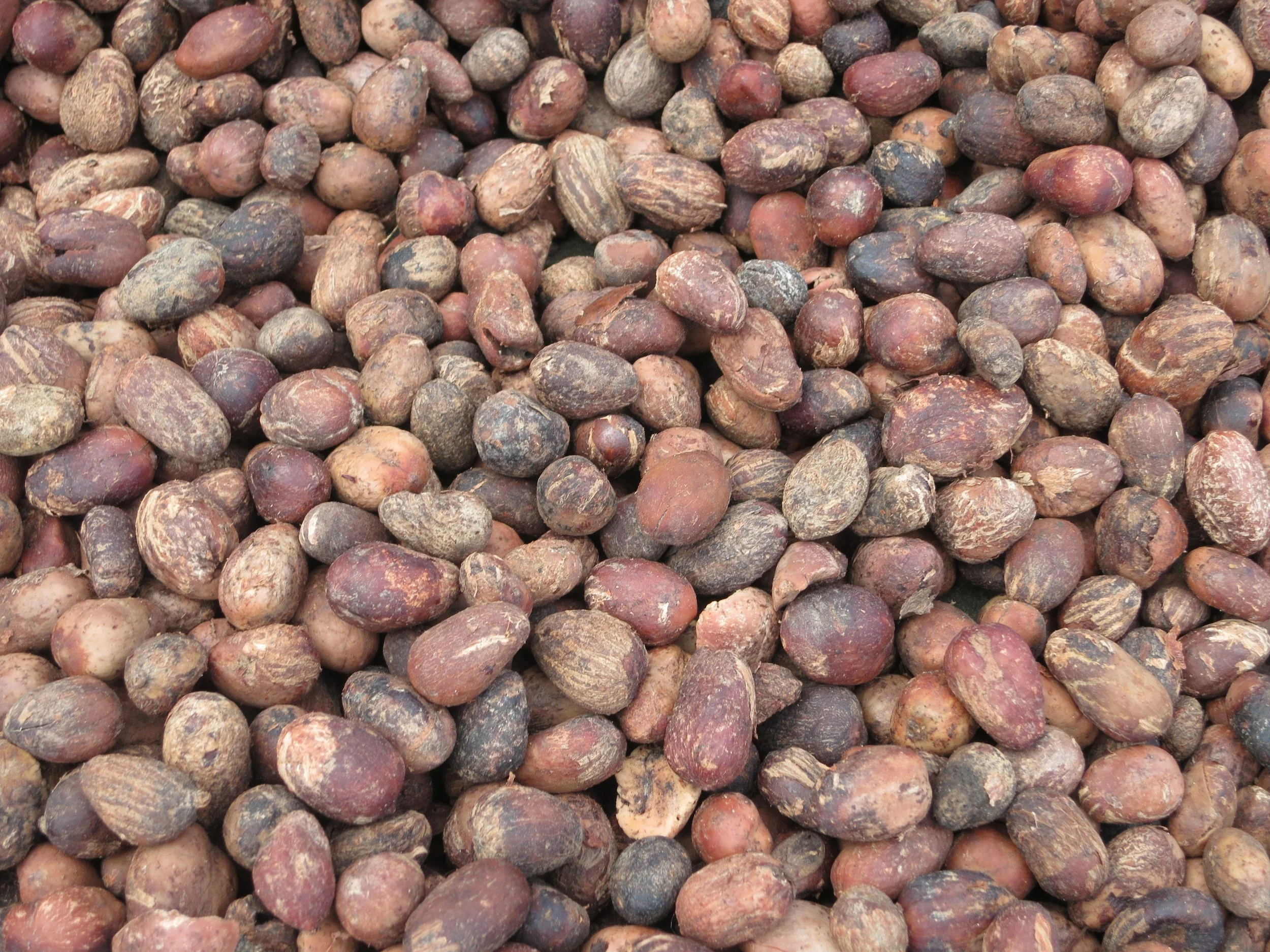 Terroirs d'Afrique Events: Septembre