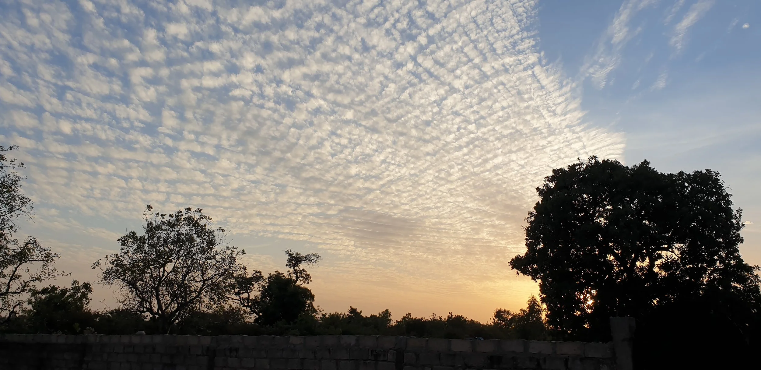 The 10th season of Terroirs d'Afrique !