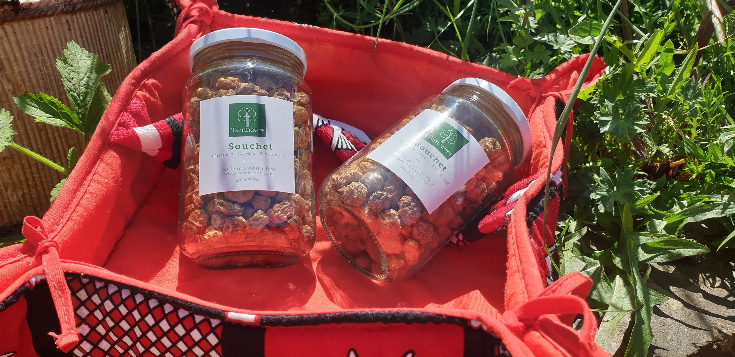 Terroirs d'Afrique on tour: April &amp; Mai 2026 