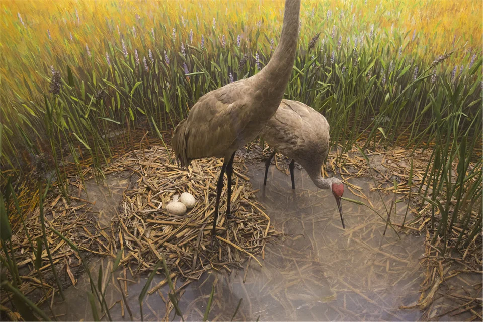 homepage_0005_Layer 0.jpg