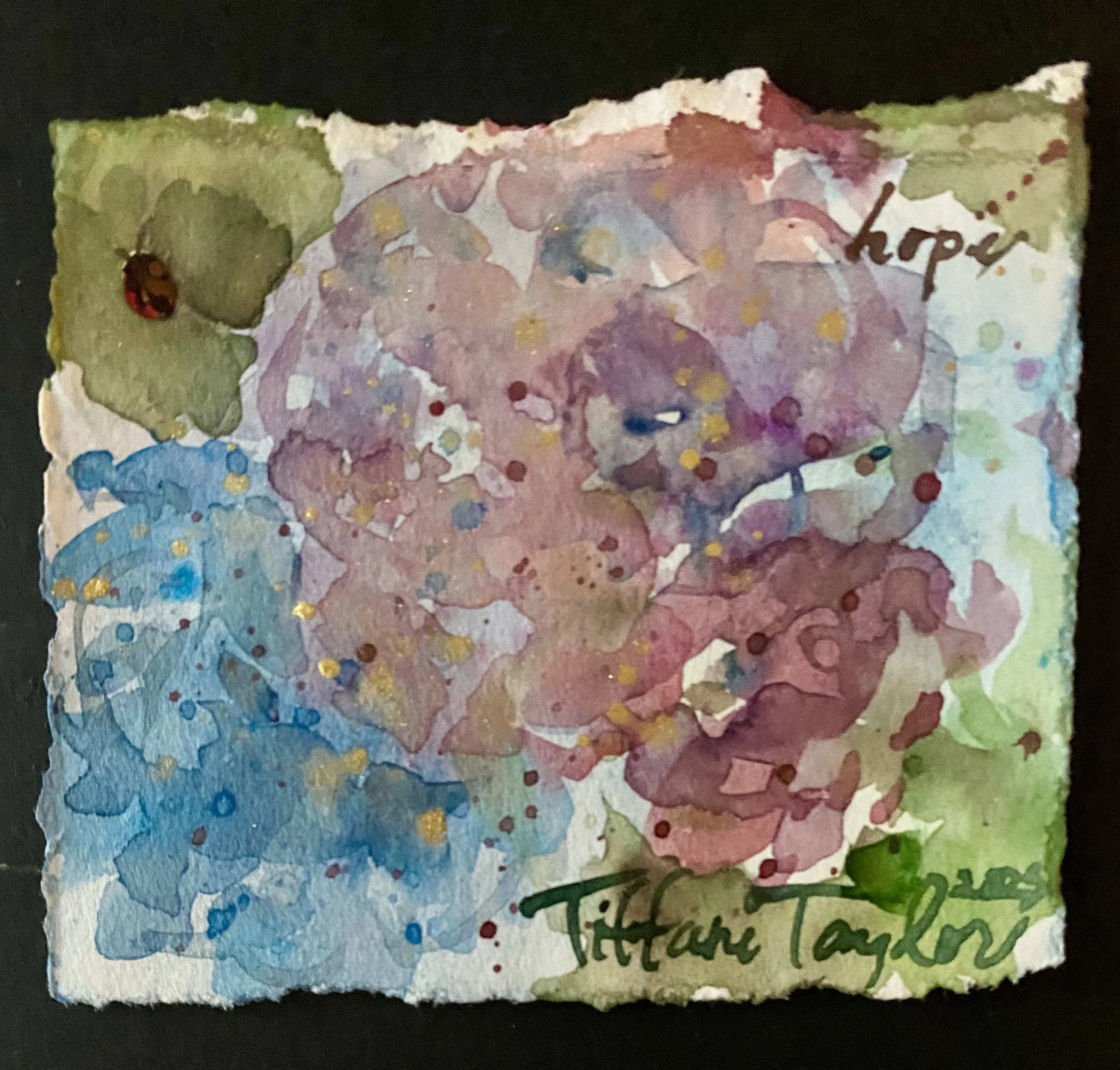 Hydrangeas hope.jpeg