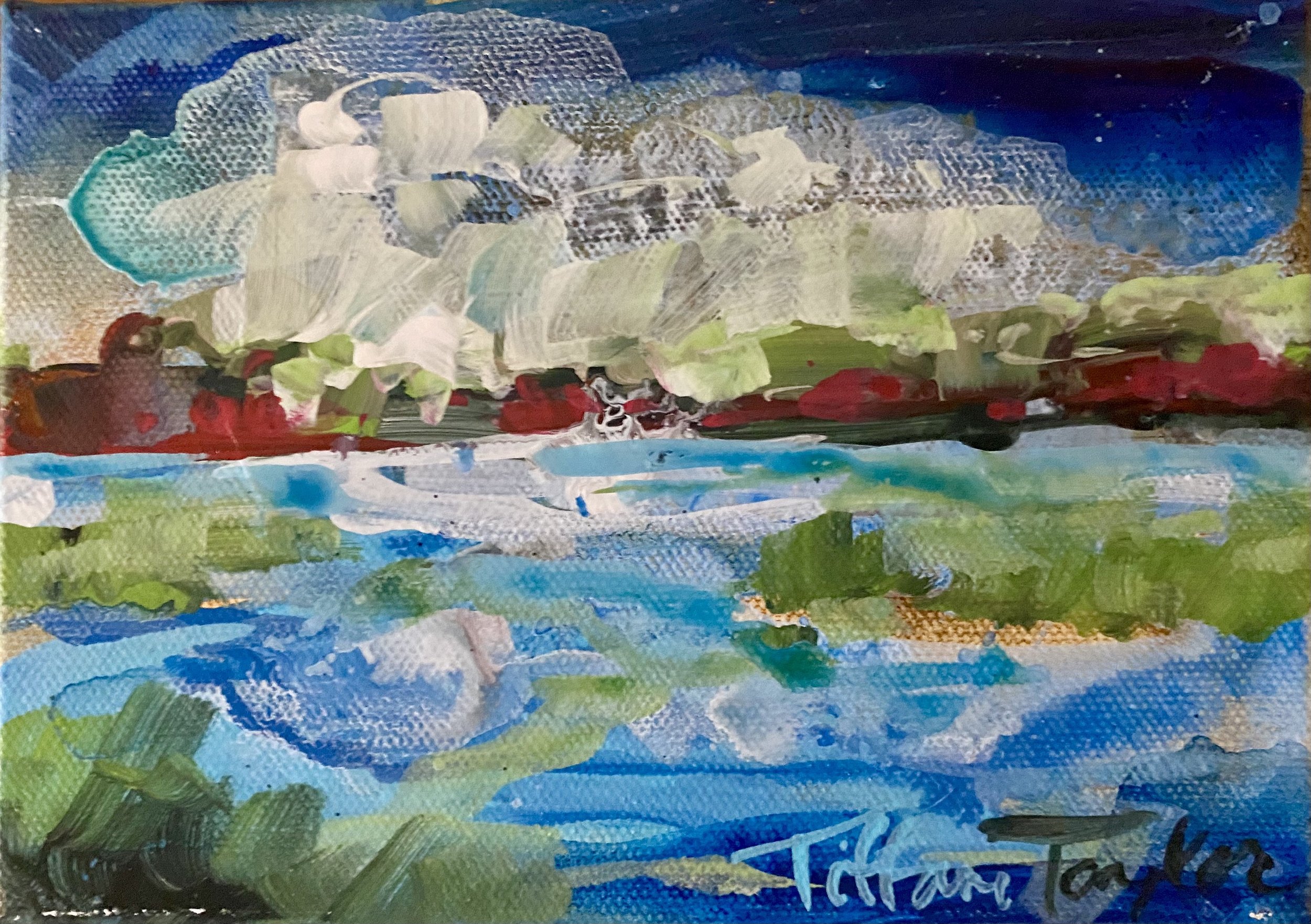 sav marsh infin poss.jpg