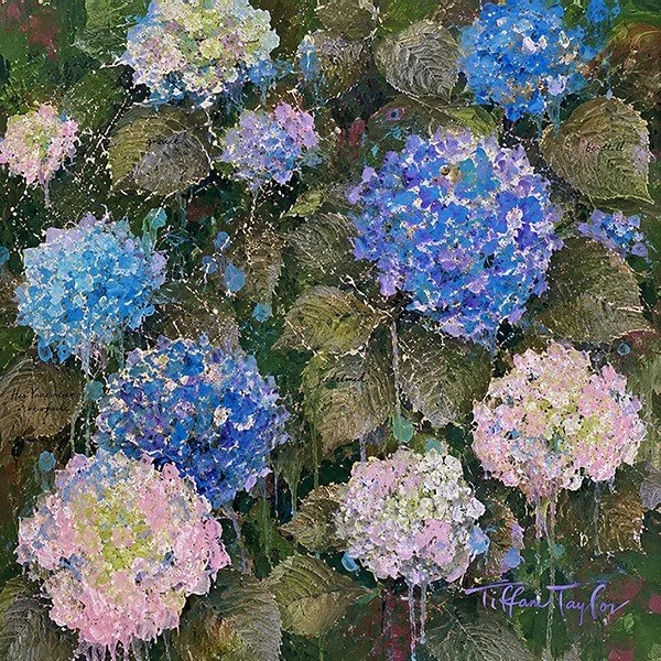 hydrangeas_andaz.jpeg