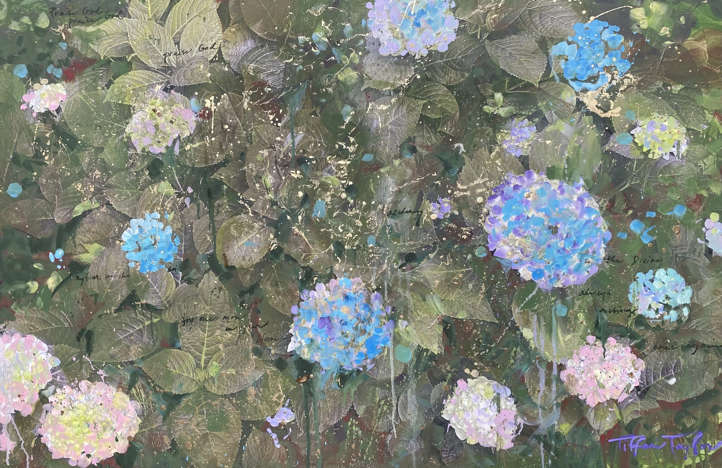 Savannah Hydrangeas.jpeg