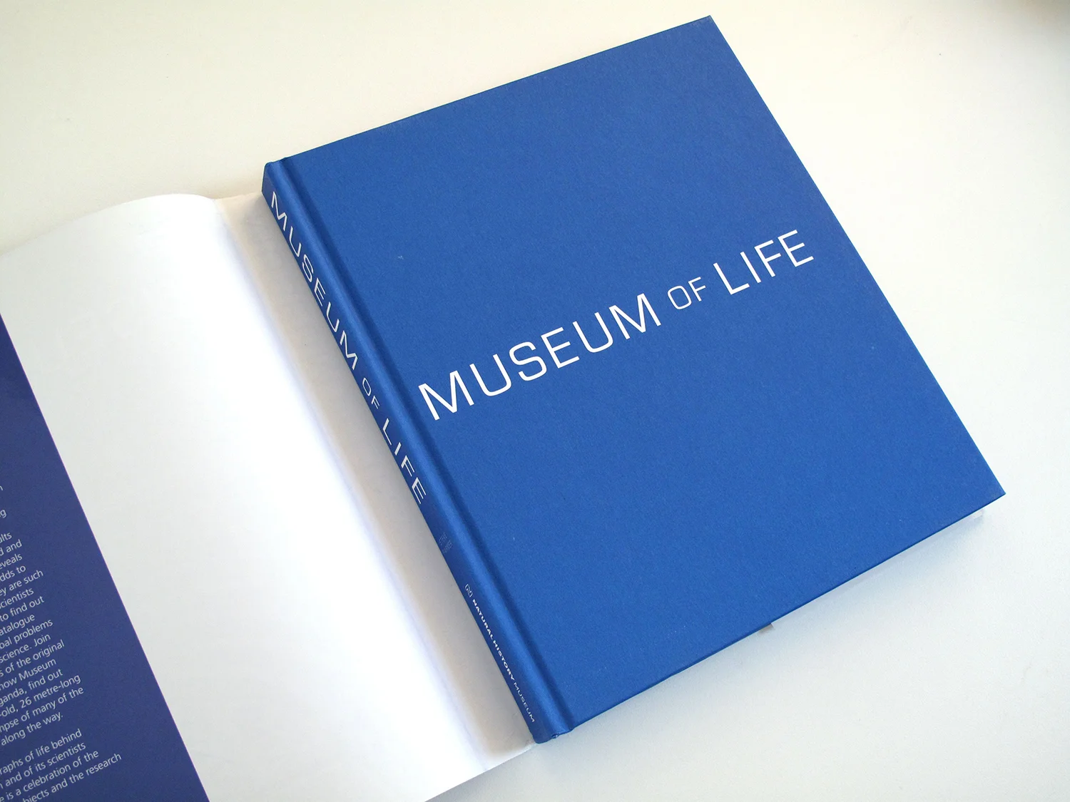 sqsp_MuseumLife_02.jpg