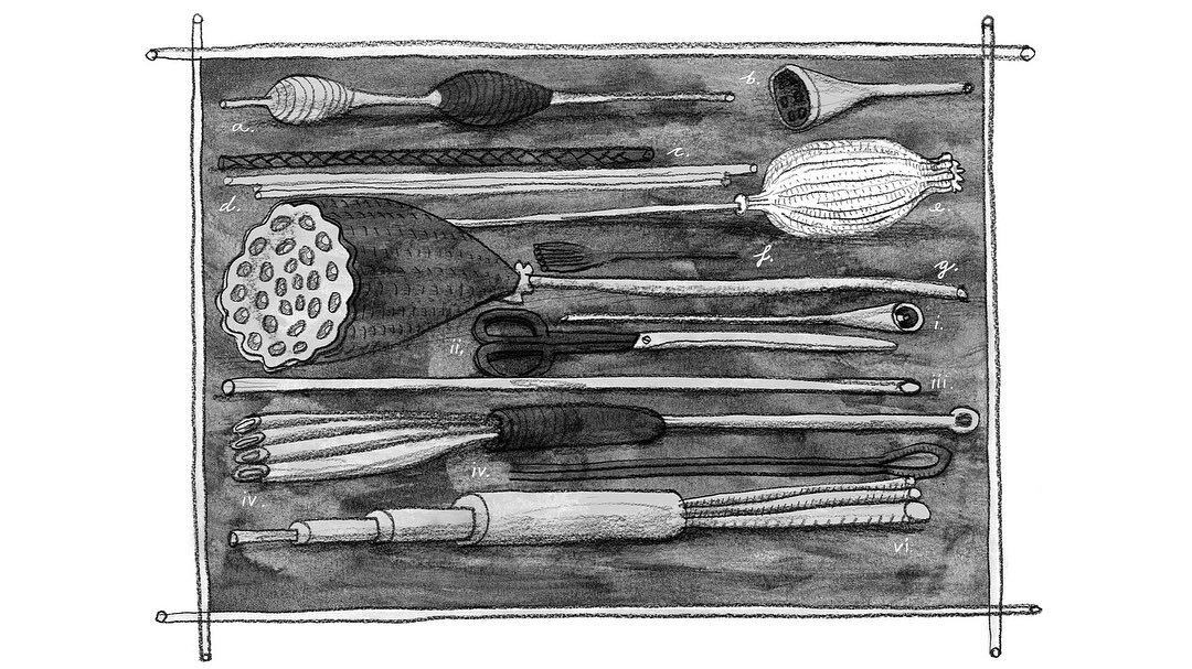 Note To Self. Parts Unknown. &ldquo;Weeds are flowers too, once you get to know them. &ndash;&nbsp;A.A.Milne.;&rdquo;Eat your vegetables.&rdquo; &ndash; my Dad. #notetoself #davidmackintosh #drawing #illustration #pencilonpaper #ink #lookastory #pict