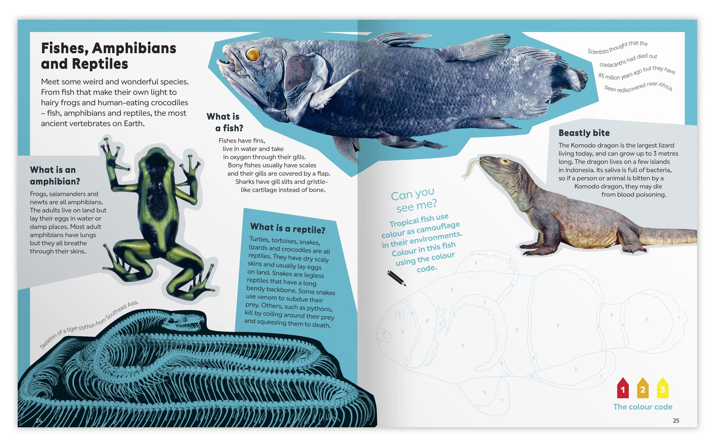 NHM_KidsOnly_packshot_sprds12.jpg