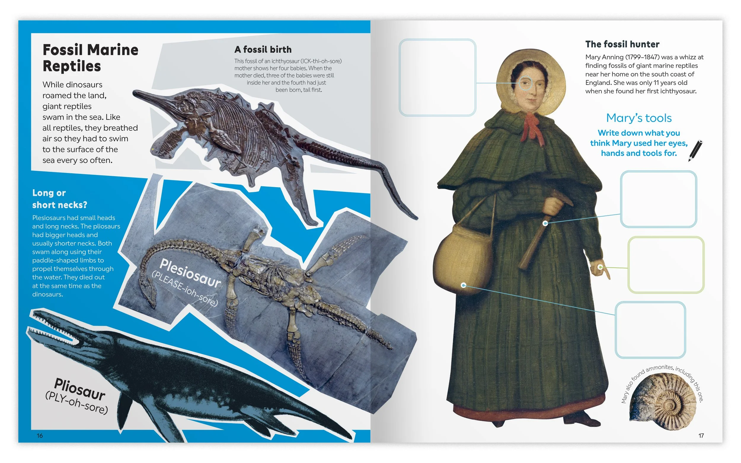 NHM_KidsOnly_packshot_sprds16.jpg