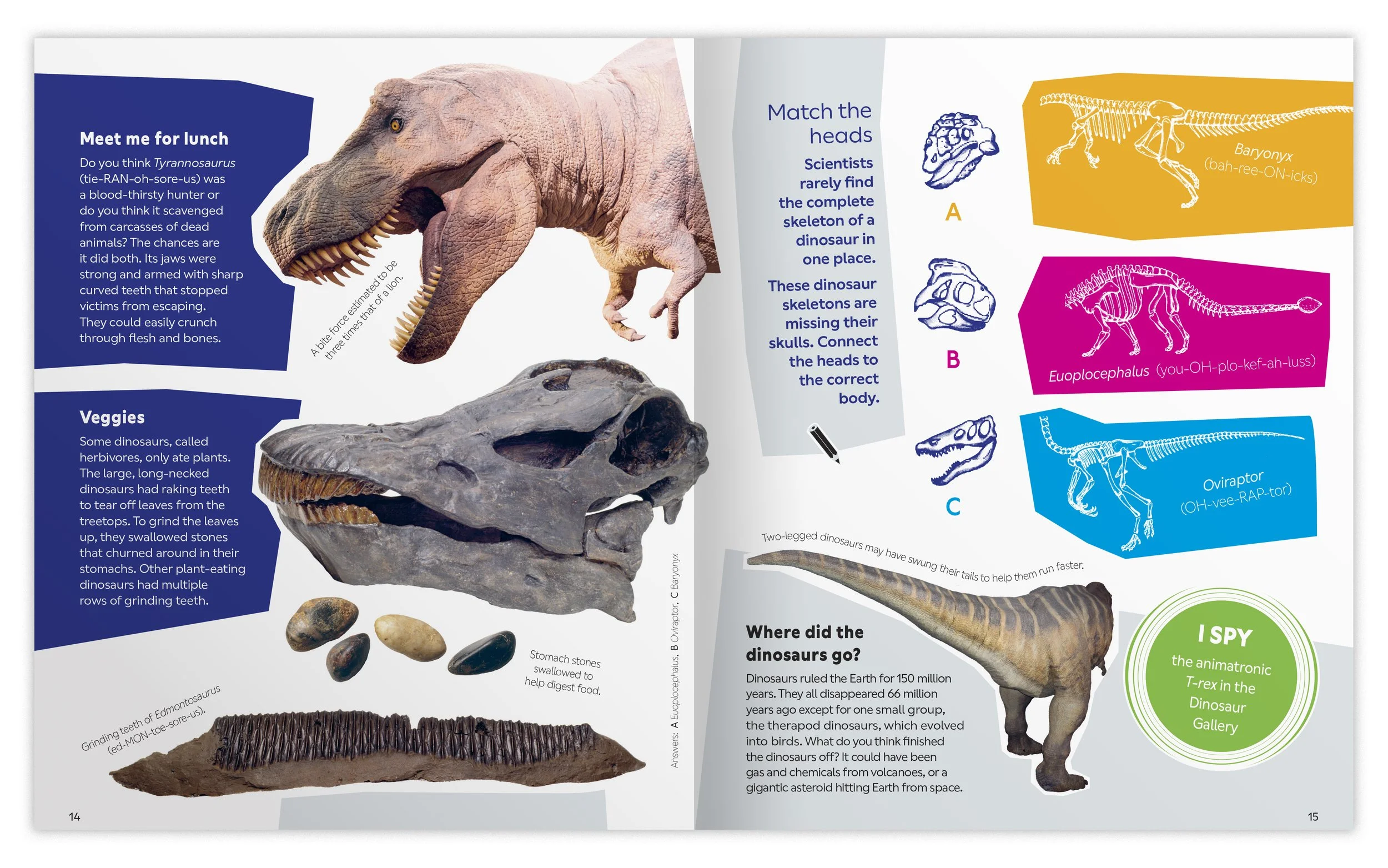 NHM_KidsOnly_packshot_sprds17.jpg
