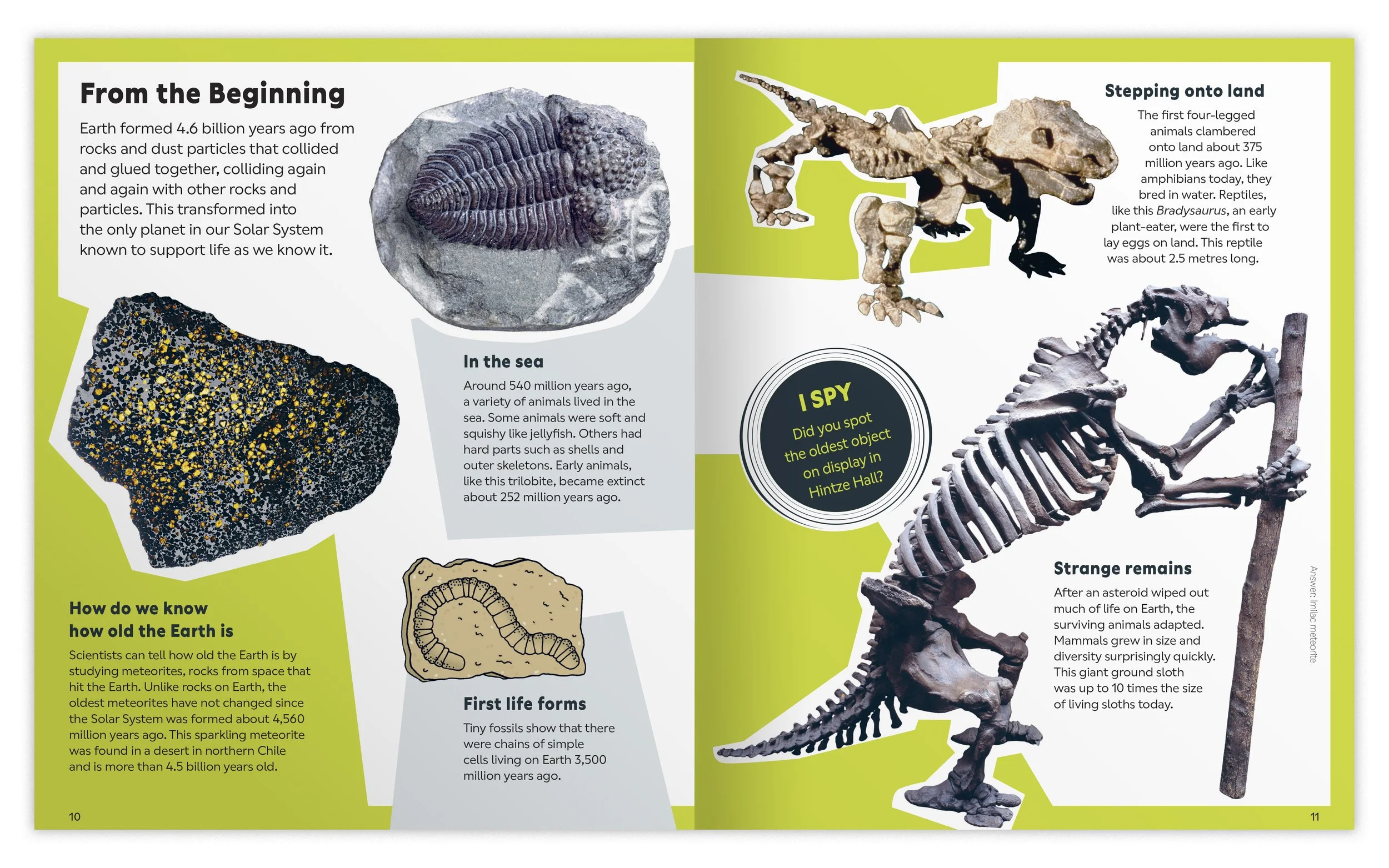 NHM_KidsOnly_packshot_sprds19.jpg