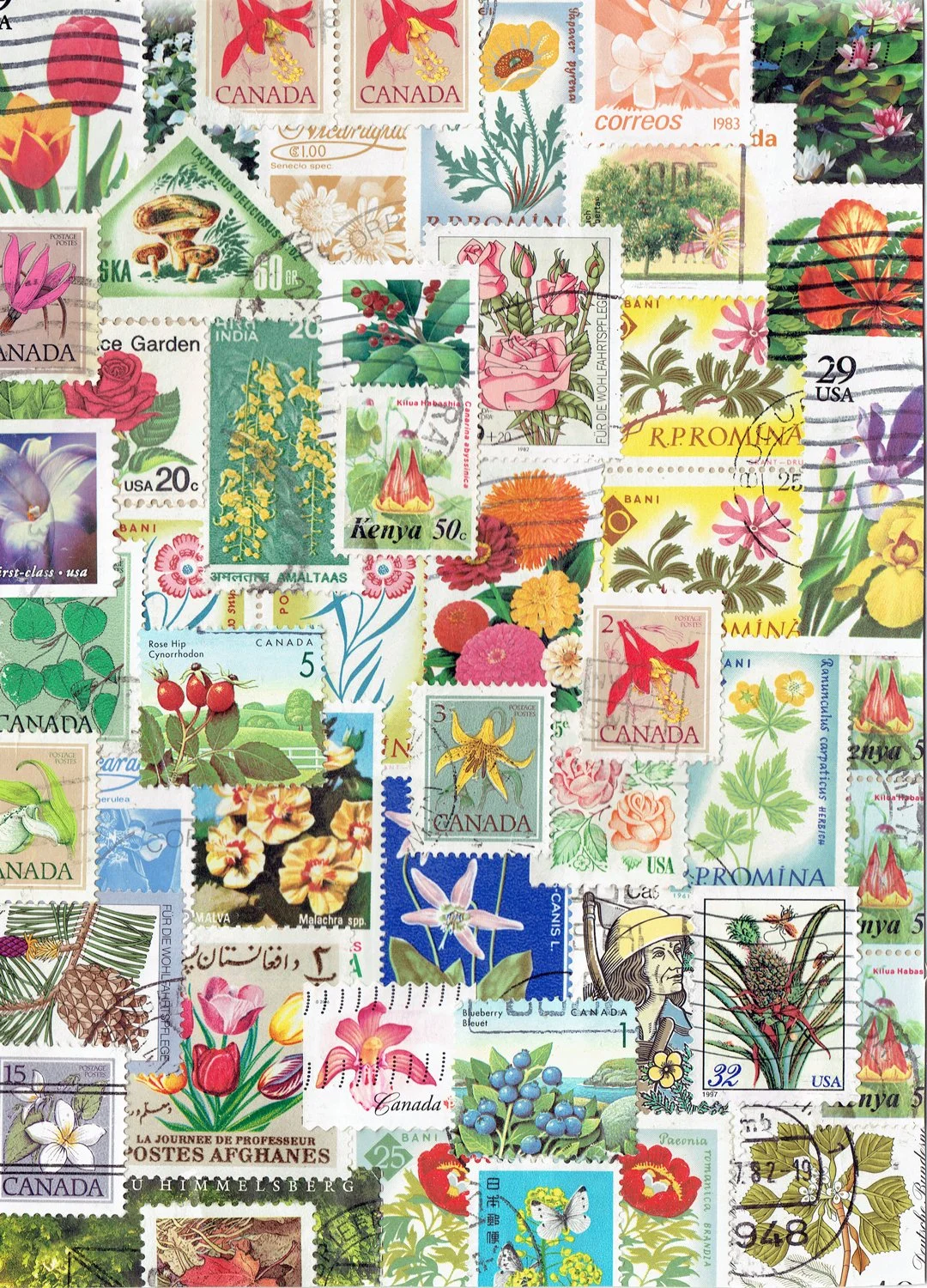 flowers.jpg