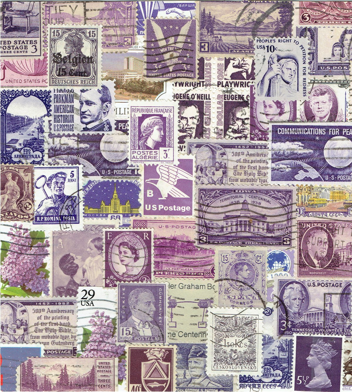 purple.jpg
