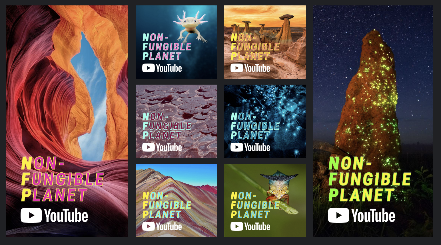 Screenshot 2023-02-01 at 11.04.52 AM.png