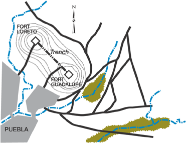 Puebla Battlefield, via Wikipedia .