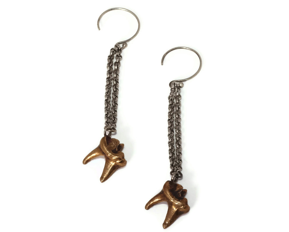 coyote ear 2.jpg
