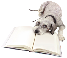 dogresources.png