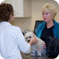 Your veterinarian will rely on your awareness of small changes in your pet's behavior or habits.