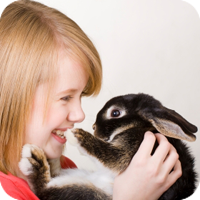 Rabbits make wonderful pets. They are fluffy and soft, respond well to handling, and can learn to use a litter box. There are even different breeds of rabbit!