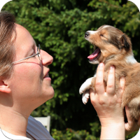 Buying from a reputable breeder gives you the opportunity to interact with the pets family, siblings, dam, also possibly the sire. You can, therefore, form a general impression of what the future holds for the pet you take home.