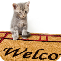 It may be stating the obvious, but always find out in advance if pets are welcome.