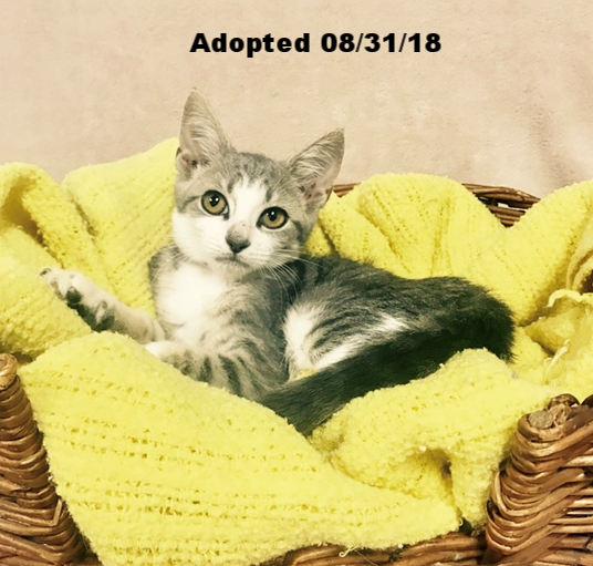 Eloise - Adopted 8/31/18