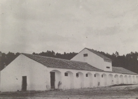 Captura de ecrã 2018-08-14, às 16.09.40.png