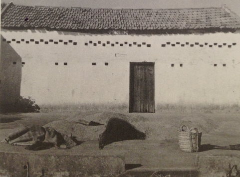 Captura de ecrã 2018-08-14, às 16.10.12.png