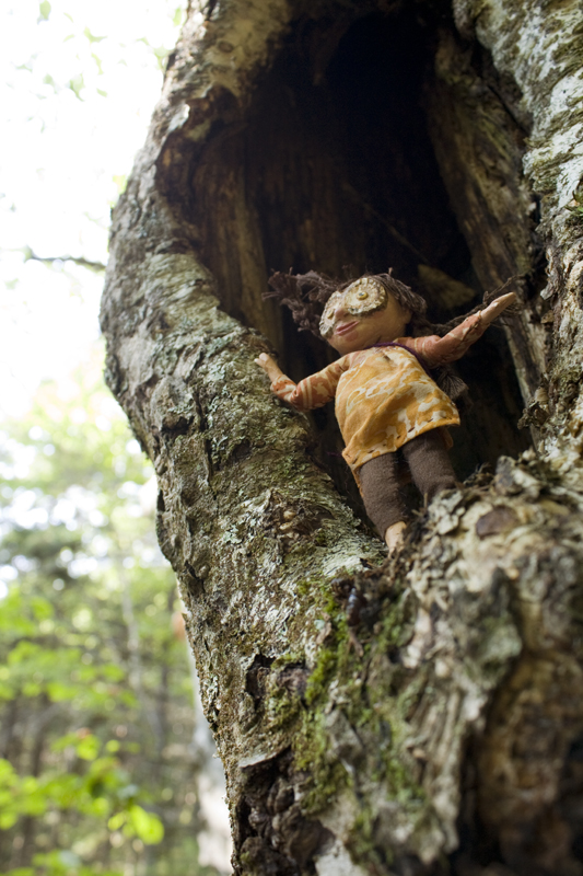 Lookout