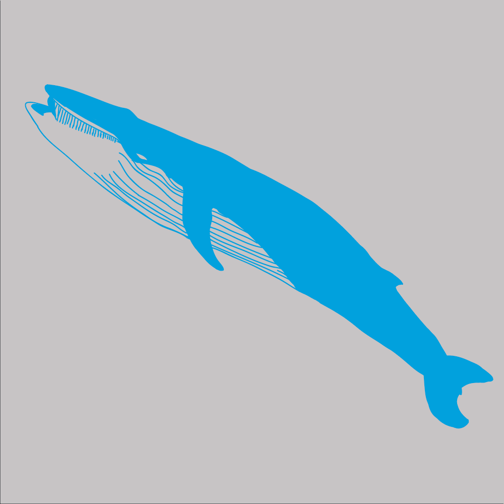 Blue-Whale-Silver.png