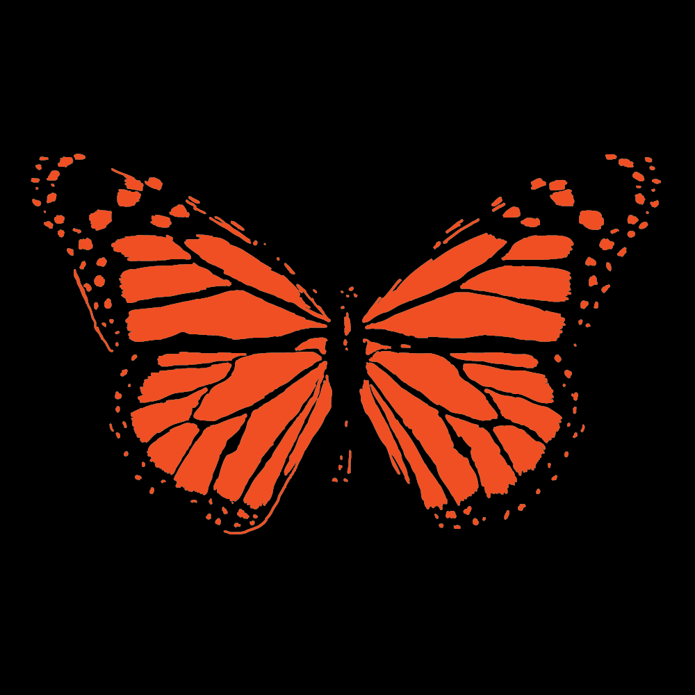 Butterfly.png