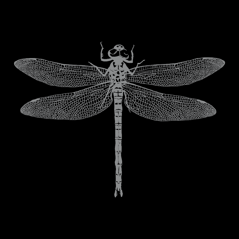 Dragonfly-blk.png