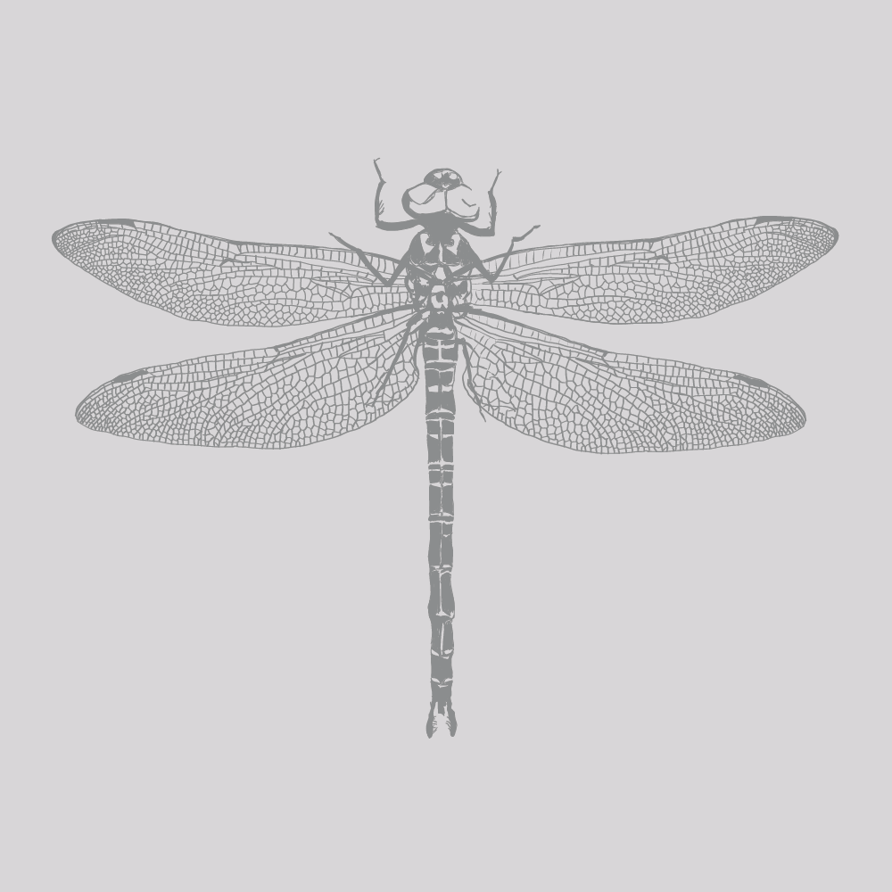 Dragonfly-silver.png