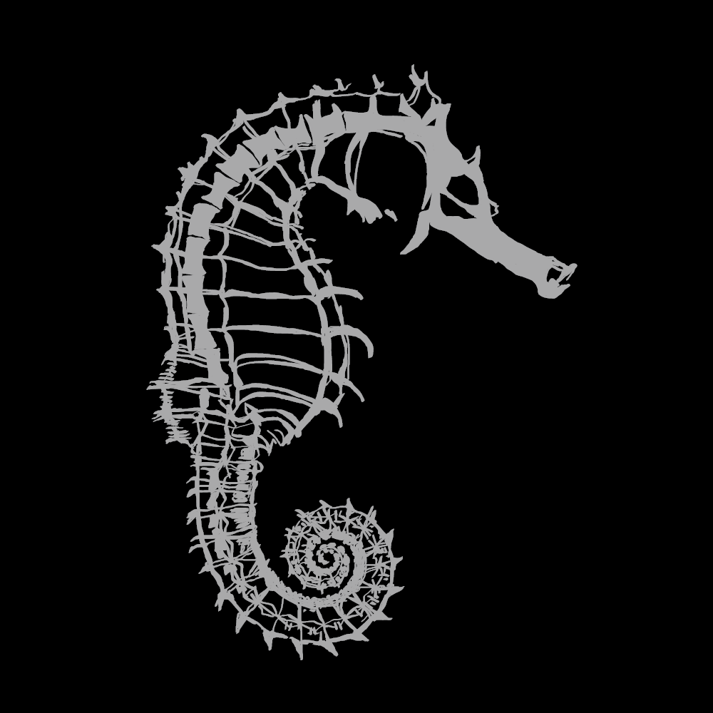 seahorse
