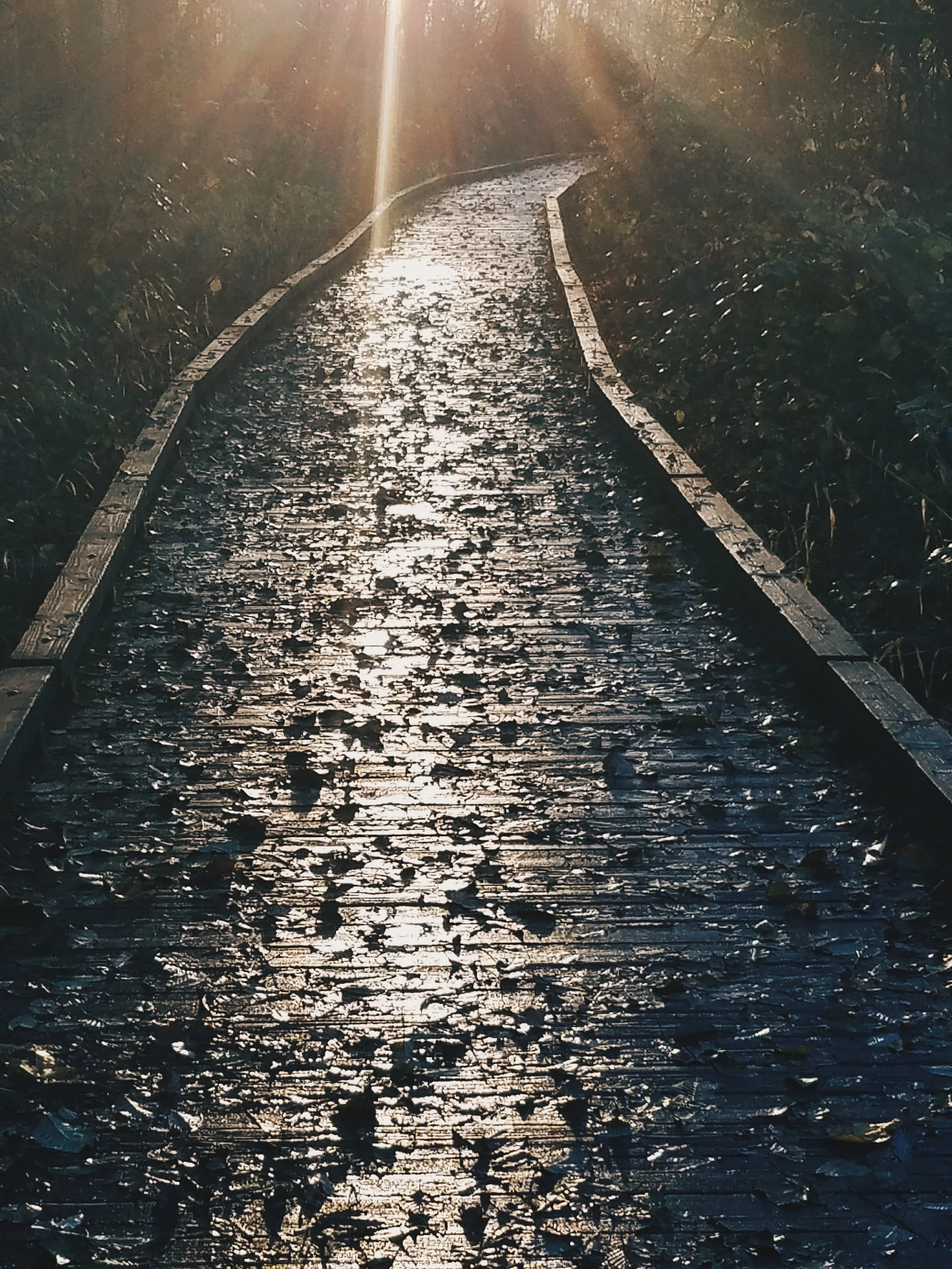 2017-11-26 02.50.36 1.jpg